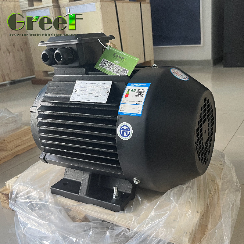 Электромотор с постоянным магнитом с вращающим моментом 220V 750W-5MW с приводом переменной частоты