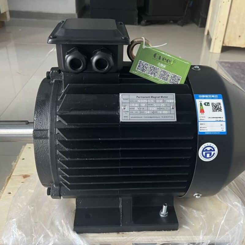 Эффективность выше 95% Магнитный двигатель номинальная мощность 750w 5Mw разработан для производительности в производстве и обработке